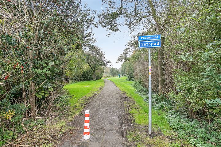 Bekijk foto 49 van Zuid Zijperweg 50