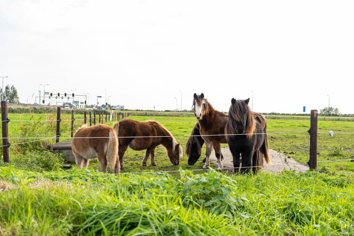 Bekijk foto 40 van Mijdrechtse Zuwe 20