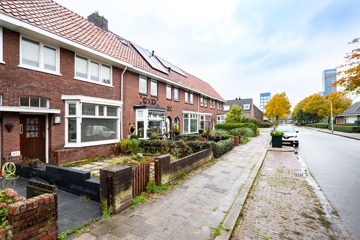 View photo 8 of d'Hondecoeterstraat 81