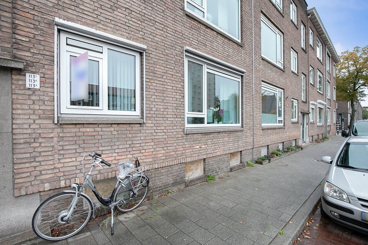 Bekijk foto 46 van Dorpsweg 113-A