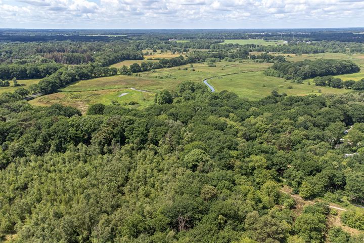 Bekijk foto 13 van Borgweg 10