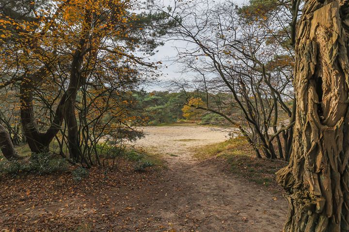 Bekijk foto 11 van Borgweg 10