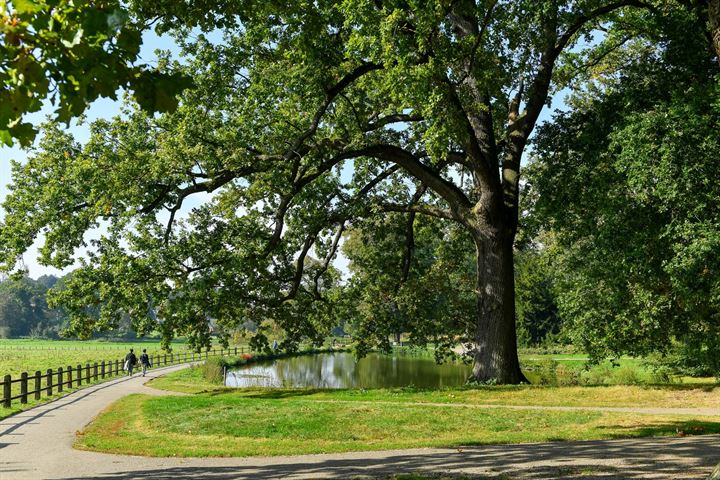 Bekijk foto 46 van Apeldoornseweg 130--2