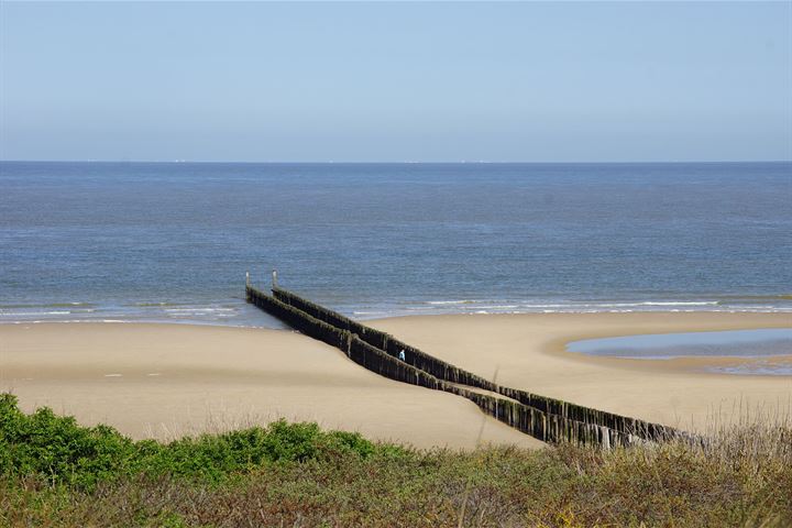 Bekijk foto 38 van Schelpweg 2408