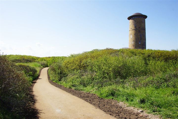 Bekijk foto 37 van Schelpweg 2408