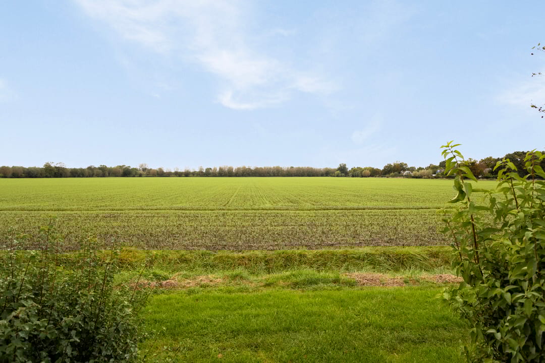 Foto 17 van Het Veerse Bree 2