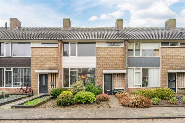 Bekijk foto 1 van Vogelliusstraat 9