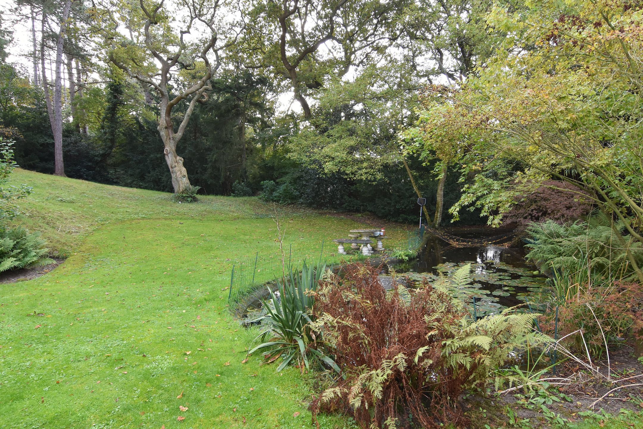 Foto 3 van Schouwweg 73