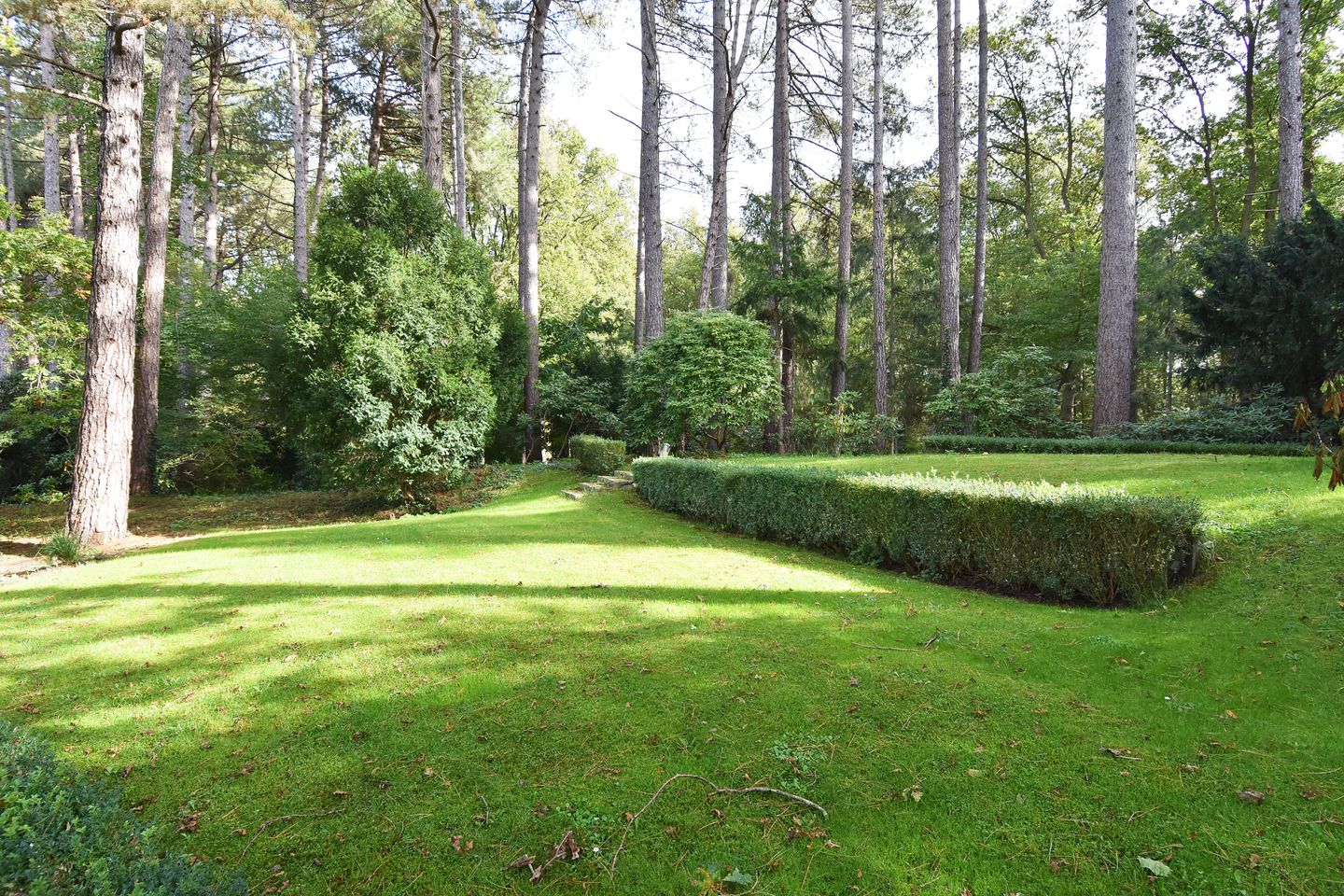 Foto 10 van Schouwweg 73