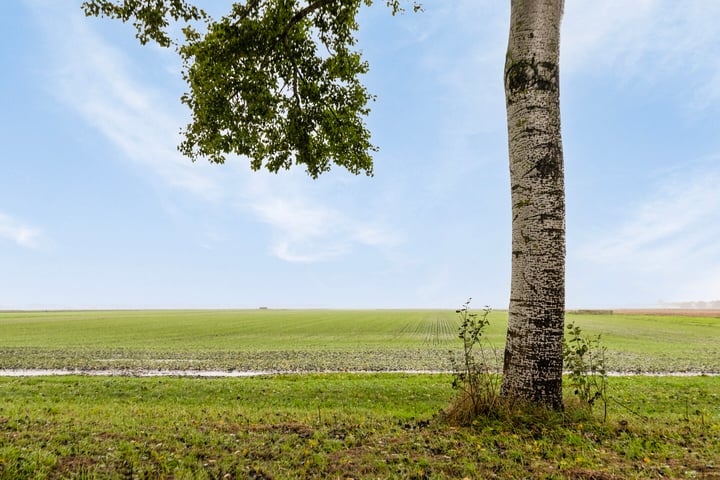 Bekijk foto 37 van Rooilaan 26