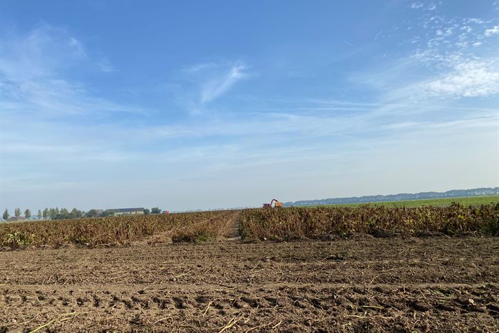 Bekijk foto van Streeplandsedijk 0 ong