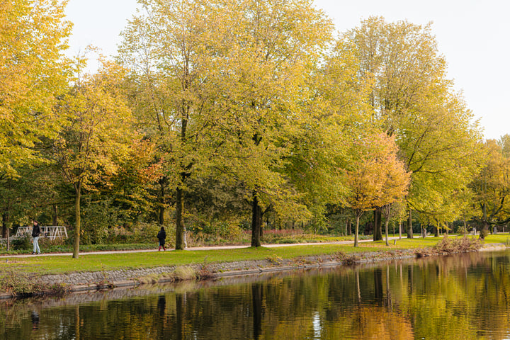 Bekijk foto 45 van Planciusstraat 21