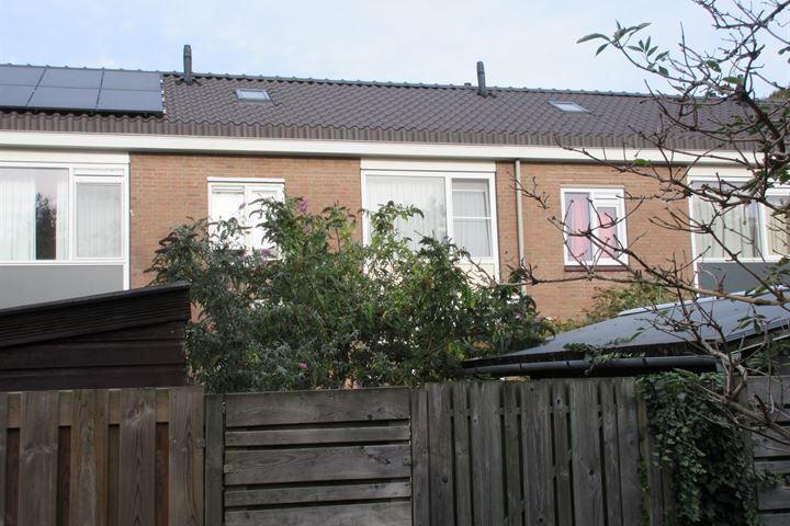 Bekijk foto 17 van Heinsiusstraat 116