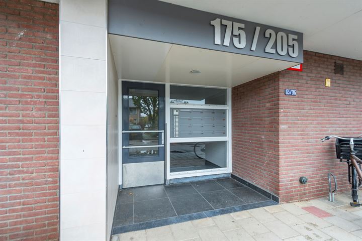 Bekijk foto 4 van Spreeuwenstraat 195