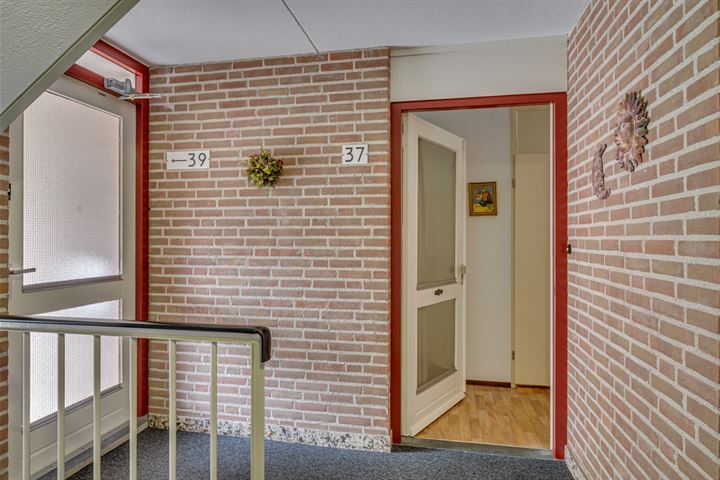 Bekijk foto 6 van Dokter Aletta Jacobsstraat 37