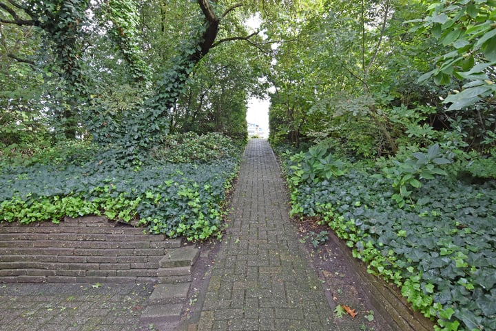 View photo 100 of Noordeindseweg 57