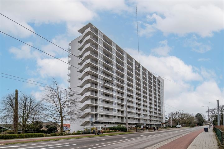 Bekijk foto 2 van Utrechtseweg 145-46