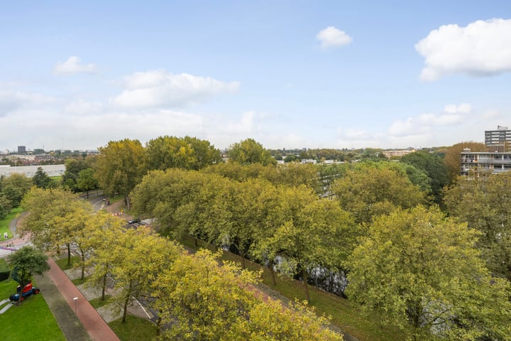 Bekijk foto 4 van Lepelaarsingel 230