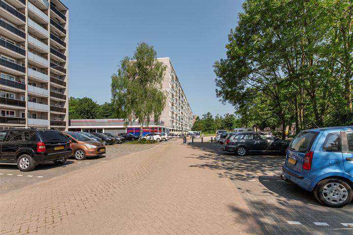 Bekijk foto 31 van Lepelaarsingel 230