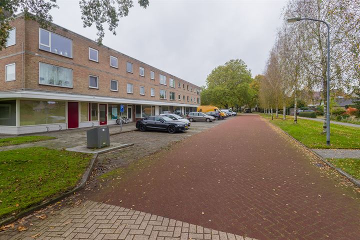 Bekijk foto 4 van De Hulstlaan 2-II