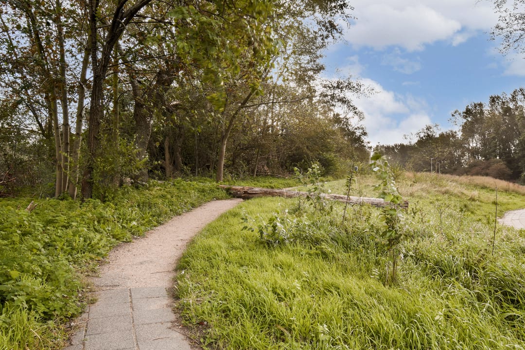 Foto 23 van Zeestraat 373