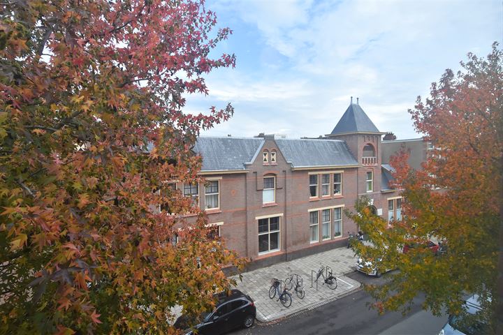 Bekijk foto 45 van Fahrenheitstraat 266