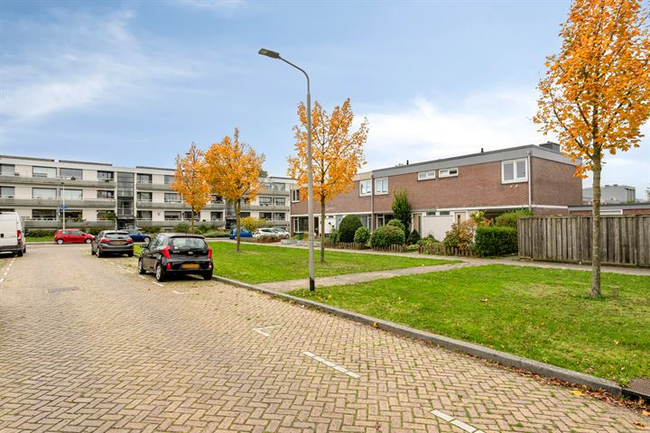 Bekijk foto 19 van Albardastraat 7