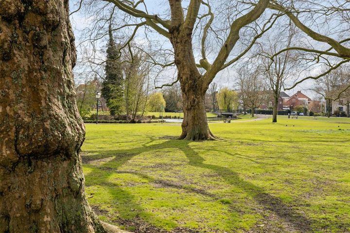 Bekijk foto 49 van Mecklenburgplein 6-*