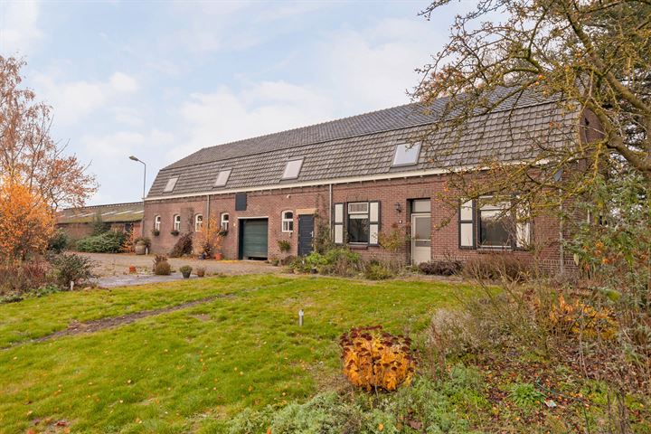 Roomweg 101, Grashoek