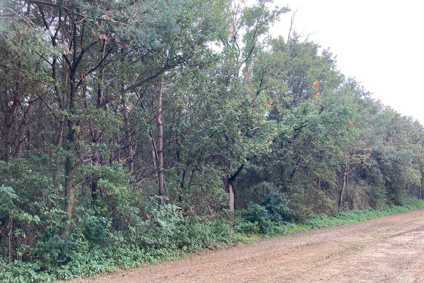 Bekijk foto 3 van nabij Houwenberg