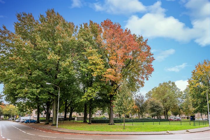 Bekijk foto 45 van Gagelbeek 46