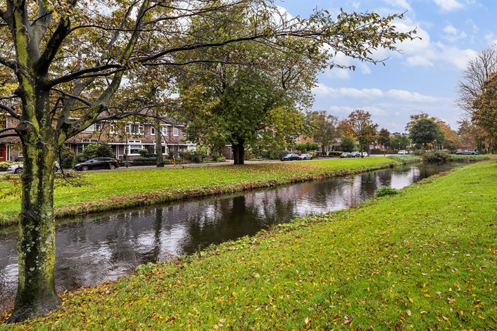 Bekijk foto 46 van Stadhouderslaan 38