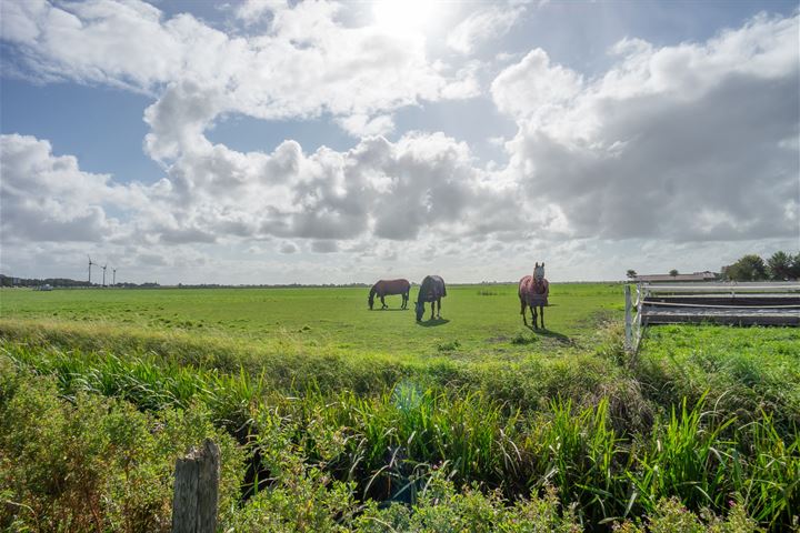 Bekijk foto 35 van Grosthuizen 10