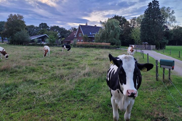 Bekijk foto 93 van Elshoekweg 16