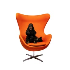 Saar van Bracht - Field Department