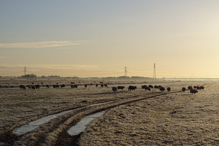 Bekijk foto 45 van IJsseldijk-Noord 199