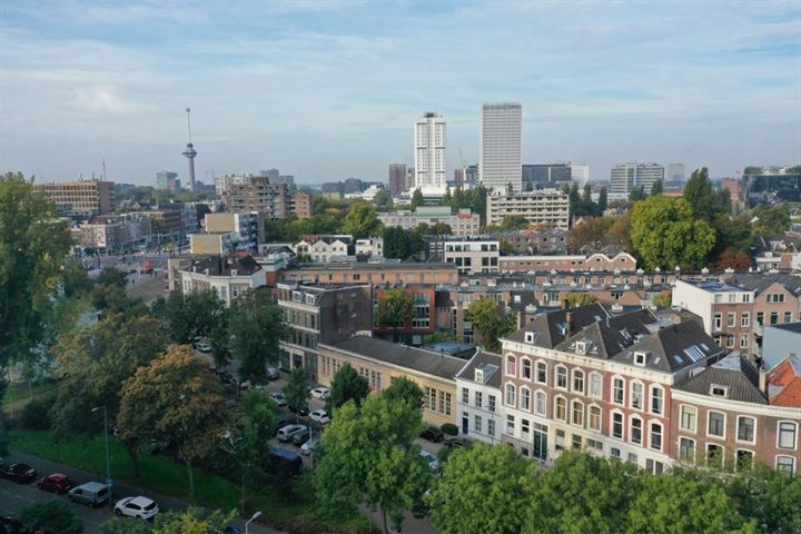 Bekijk foto 41 van Schiedamsesingel 203