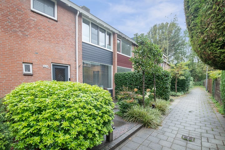 Bekijk foto 41 van Van der Helmstraat 229