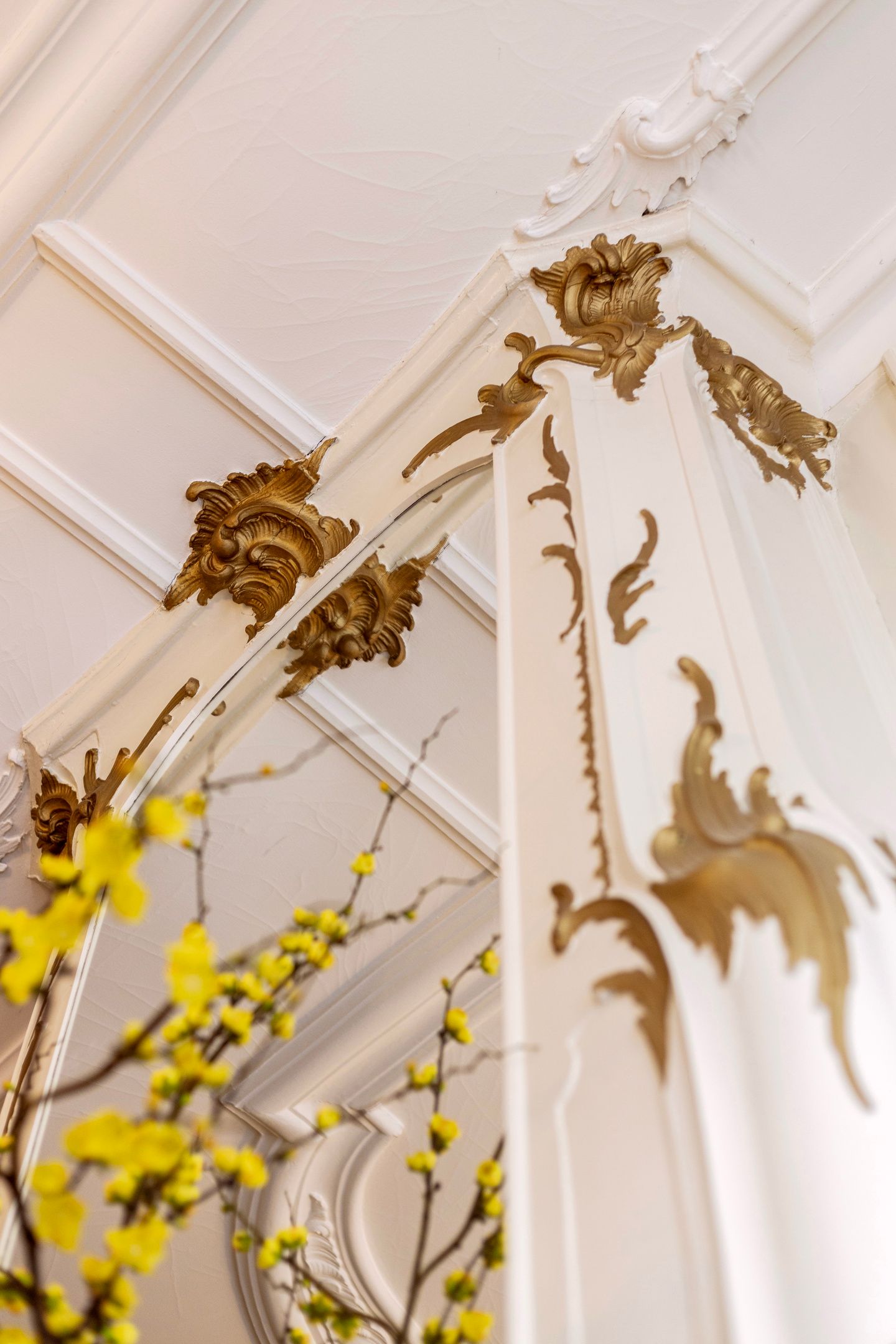 Foto 24 van Wolwevershaven 42-B