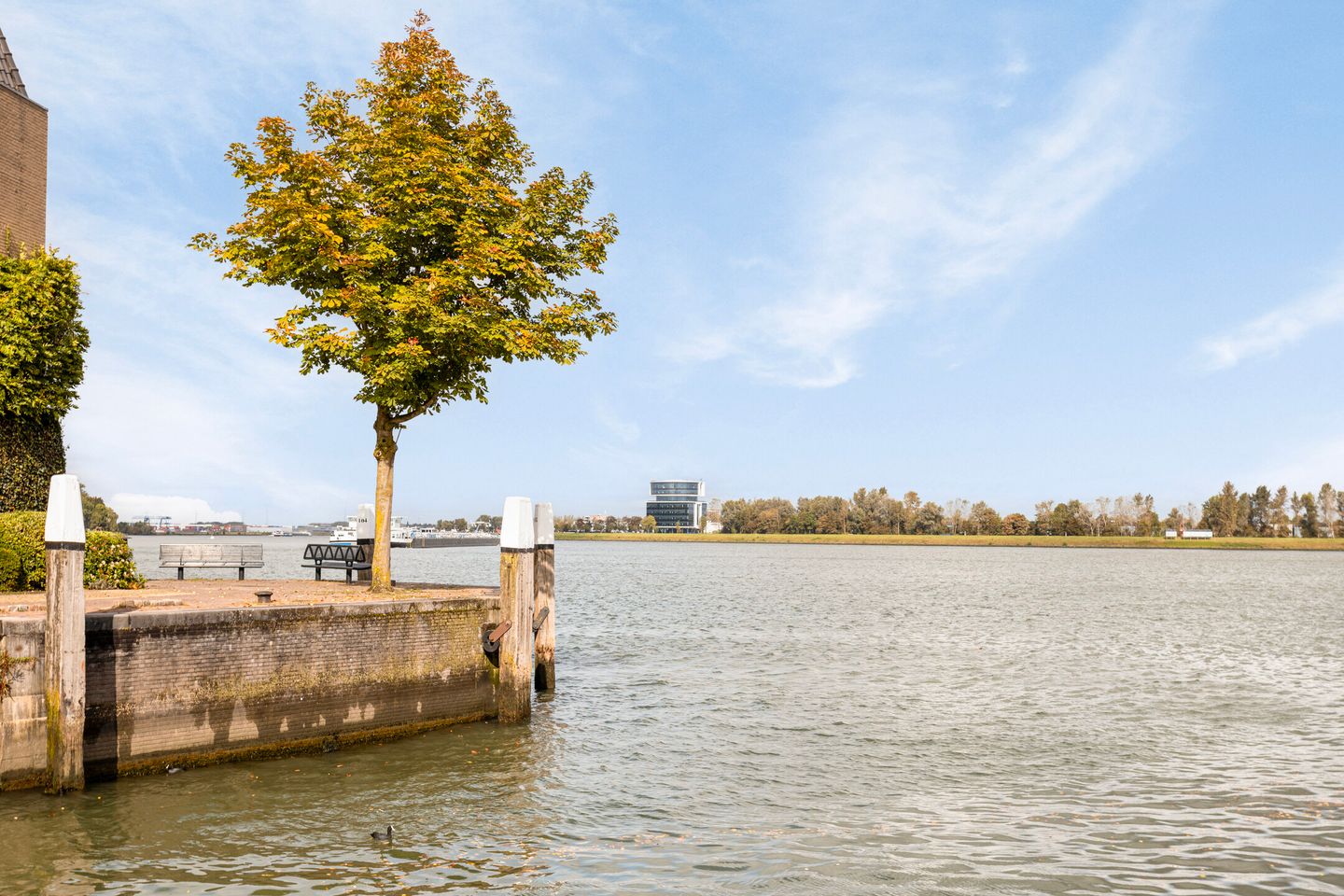 Foto 65 van Wolwevershaven 42-B