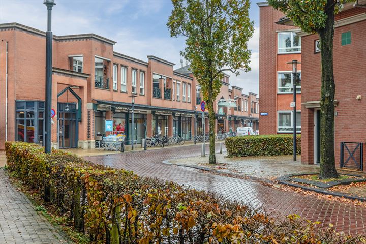 Bekijk foto 39 van Mangrovelaan 17