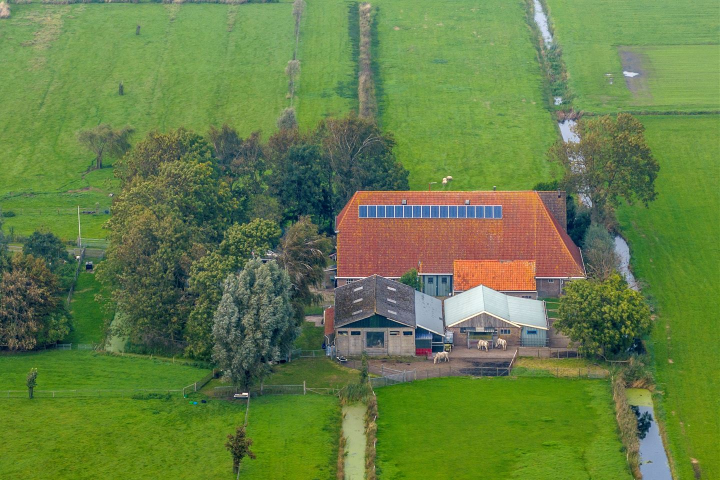 Bekijk foto 4 van Herenweg 24