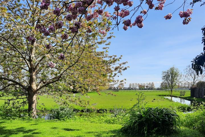 Bekijk foto 62 van Dijkweg 247