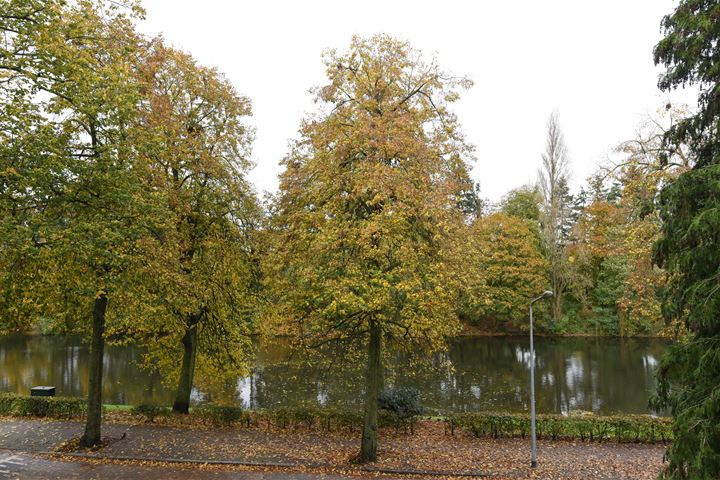 Bekijk foto 13 van Berlagelaan 187