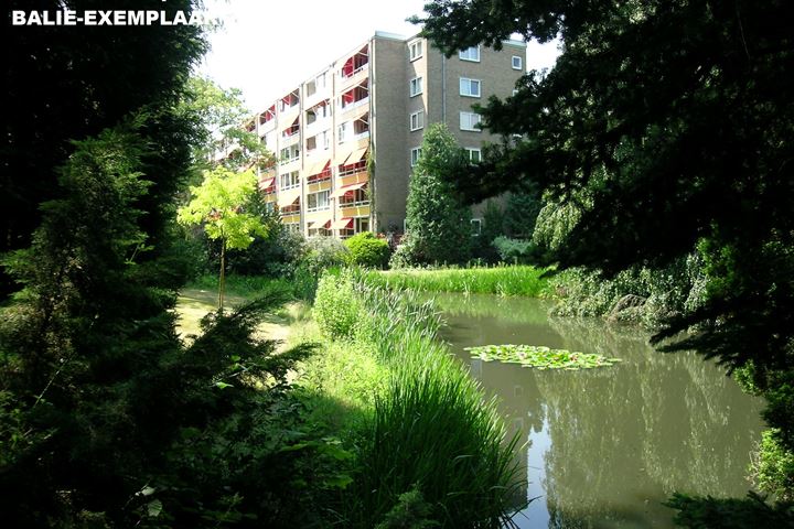 Bekijk foto 12 van Laan van Rijnwijk 1-B12