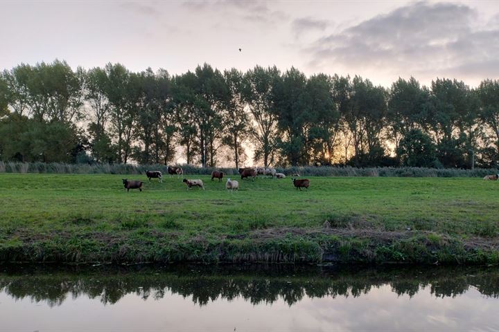 Bekijk foto 44 van Frans Halslaan 26