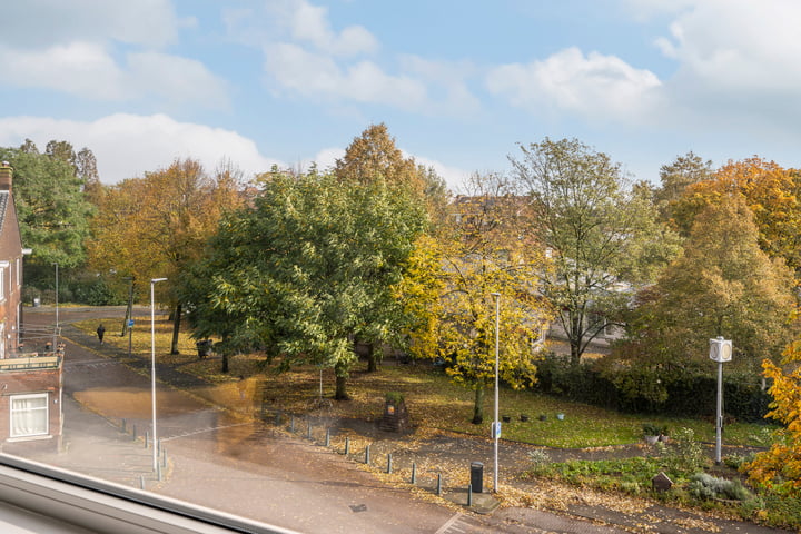 Bekijk foto 10 van Schiedamseweg Beneden 457-03R