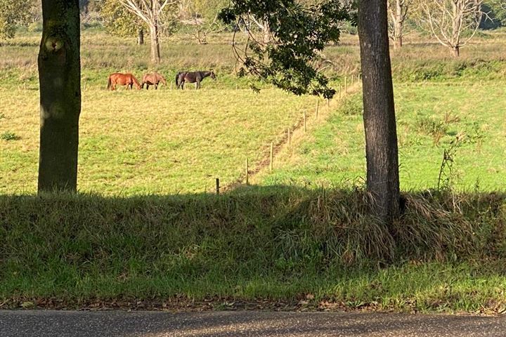 Bekijk foto 25 van Roroweg 18