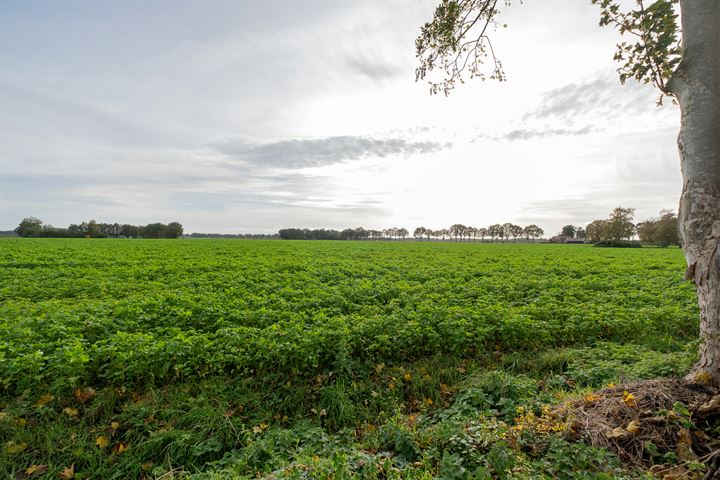 Bekijk foto 64 van Hoofdweg 137