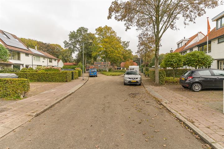 Bekijk foto 46 van Wethouder van Olstweg 10